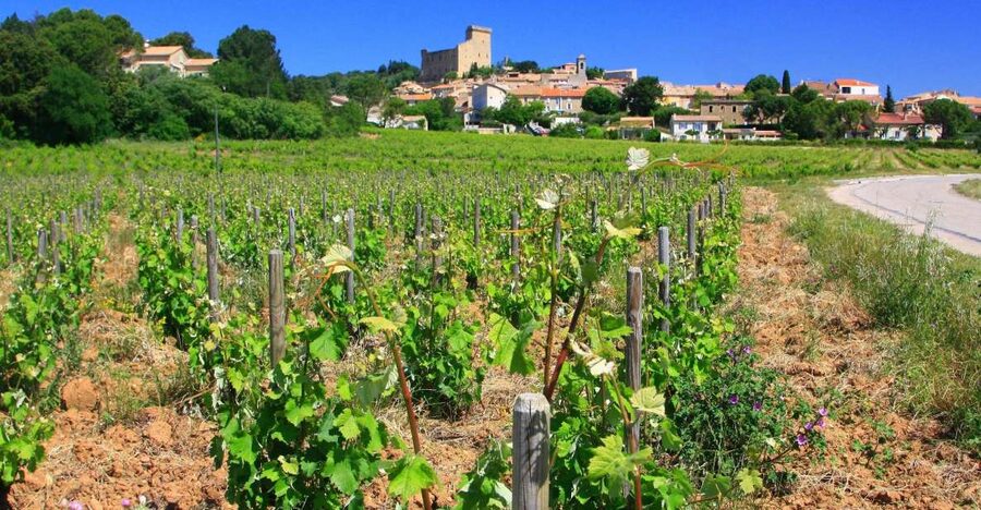 Avignon: Full-Day Wine Tour around Châteauneuf-du-Pape - Comparing Séguret, Gigondas, and Vacqueyras