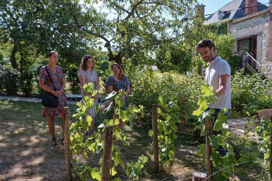 Aÿ-Champagne: Champagne House Tour and Tasting Class - Who will enjoy Le Clos Corbier most