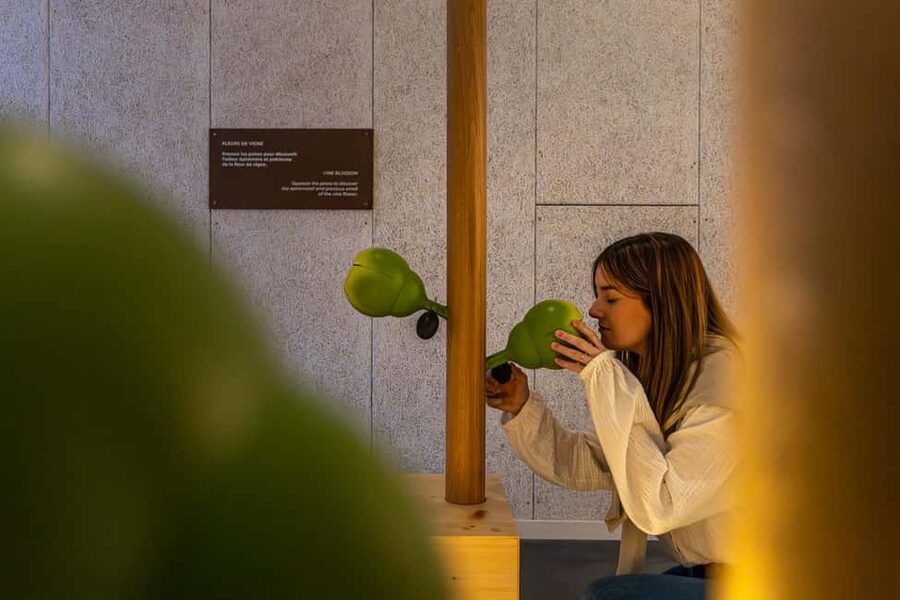 Aÿ-Champagne: Pressoria Champagne Museum with Tasting - Key points at a glance