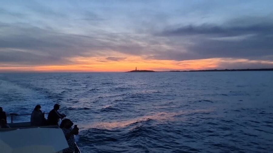 Barbate: Sunset Cruise with Glass of Cava - From Marine Atlantes in Barbate to open water