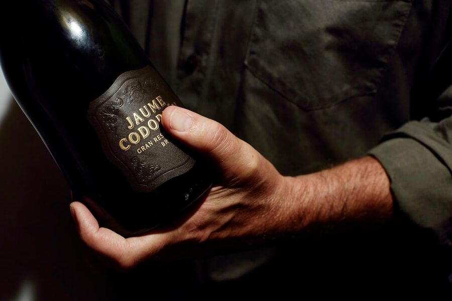 Barcelona: Casa Codorníu Guided Tour with Cava Tastings - Going underground by electric train