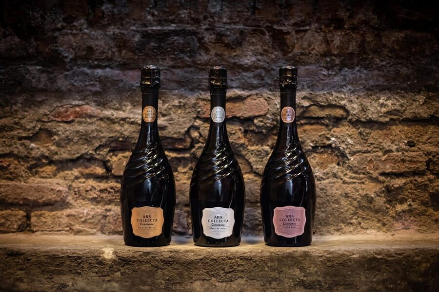 Barcelona: Casa Codorníu Guided Tour with Cava Tastings - How the 90 minutes feel