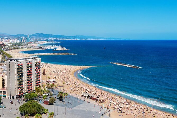 Barcelona eBike Beach Private Tour to Vineyards & Picnic - Key points to know before you book