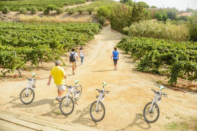 Barcelona eBike Beach Private Tour to Vineyards & Picnic - Price, timing, and what you actually receive