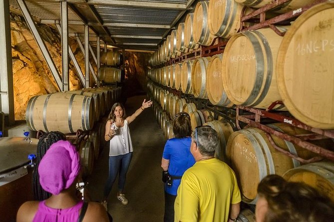 Barcelona eBike Beach Private Tour to Vineyards & Picnic - Who should book this Barcelona wine ride?