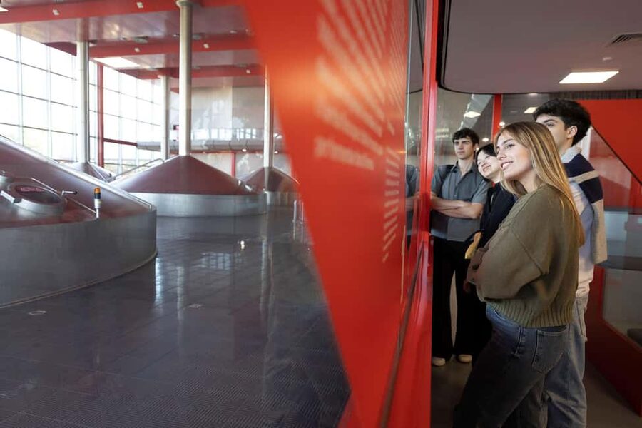 Barcelona: Estrella Damm Brewery Guided Tour with Tasting - Inside the brewhouse and fermentation rooms