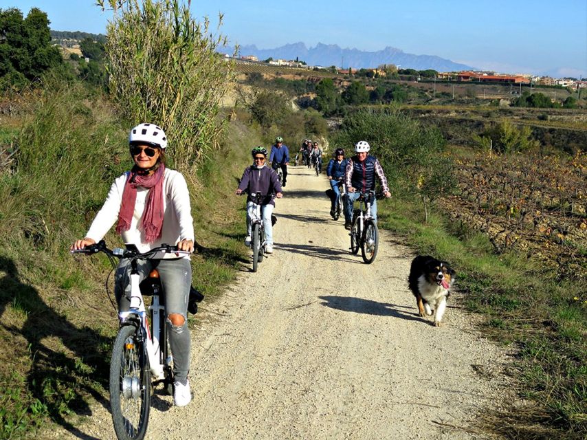Barcelona: Guided Half-Day Wine and Electric Bike Tour - Key points to know before booking
