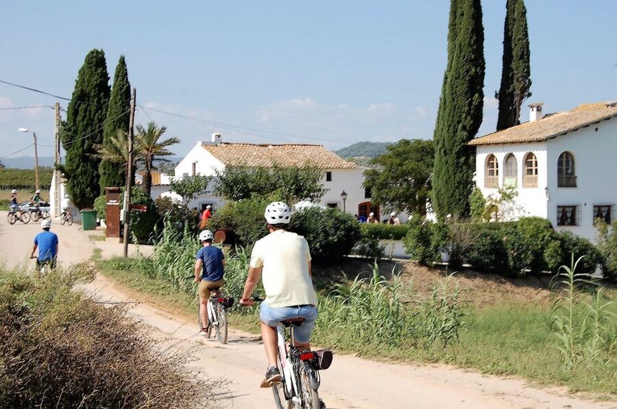 Barcelona: Guided Half-Day Wine and Electric Bike Tour - Should you book the Barcelona wine bike tour?