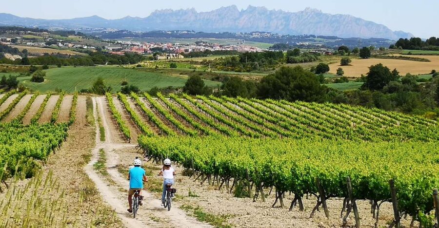 Barcelona: Guided Half-Day Wine and Electric Bike Tour - From Barcelona to the Penedès vineyards