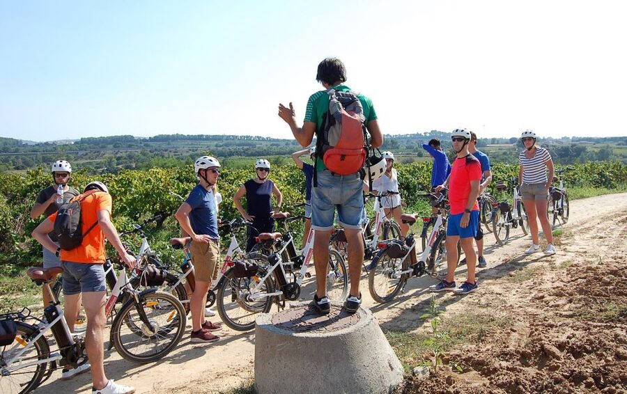 Barcelona: Guided Half-Day Wine and Electric Bike Tour - Visiting a fourth-generation family winery