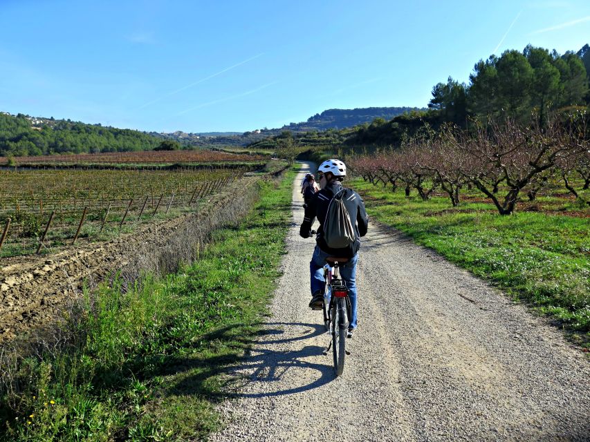 Barcelona: Guided Half-Day Wine and Electric Bike Tour - What the four-hour schedule feels like