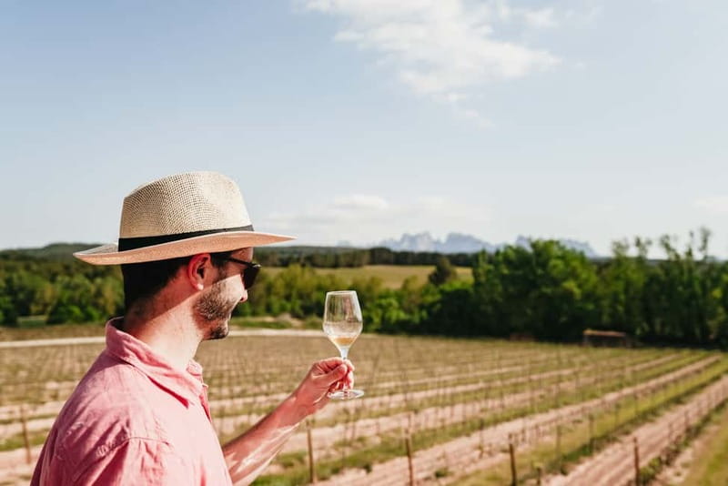 Barcelona: Montserrat, Cogwheel, Black Madonna & Winery Tour - Using your free time well