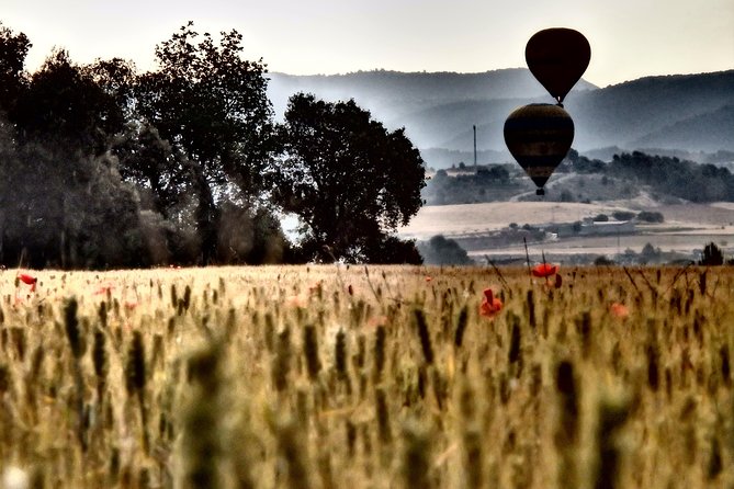 Barcelona: Montserrat Hot Air Balloon Ride with Champagne Toast - What is included after landing