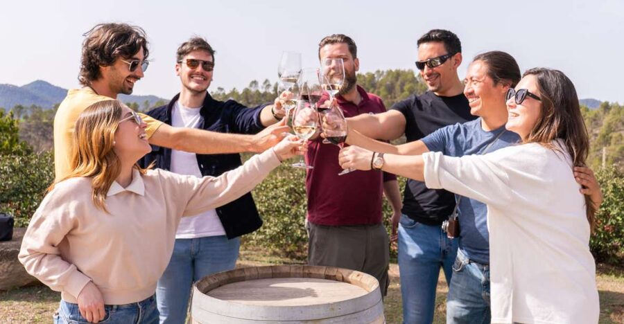 Barcelona: Montserrat, Winery Tour & Lunch with Wine Tasting - The cogwheel train into Montserrat