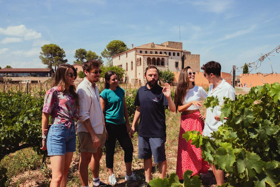 Barcelona: Montserrat with Winery, Lunch, and Train Options - The Cogwheel Train Ride