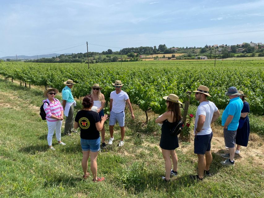 Barcelona: Montserrat with Winery Visit and Farmhouse Lunch - A three-course lunch among Penedès vineyards