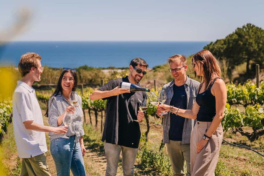 Barcelona: Sailing Cruise & Vineyard Tour with Wine Tasting - Why this Barcelona wine trip works