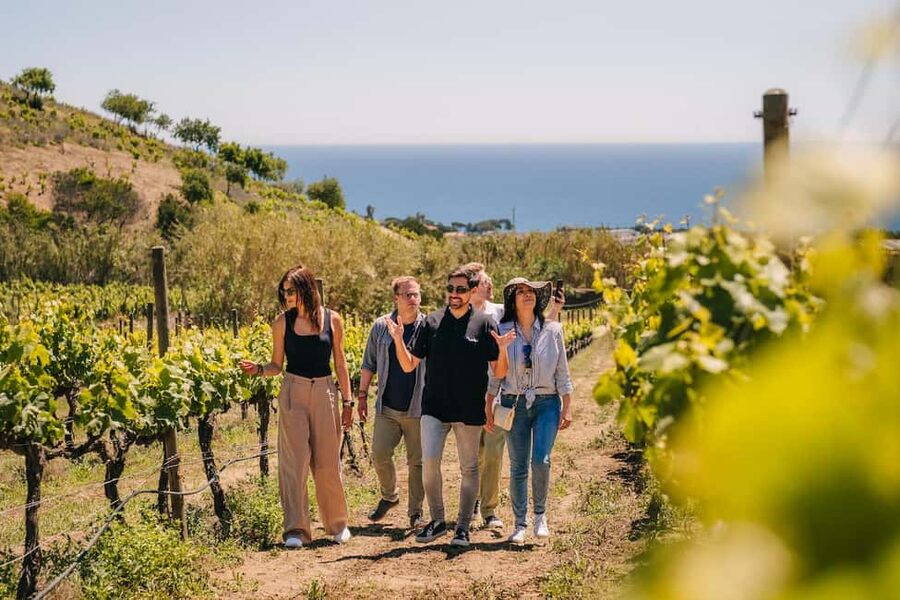 Barcelona: Sailing Cruise & Vineyard Tour with Wine Tasting - Touring Bouquet d’Alella