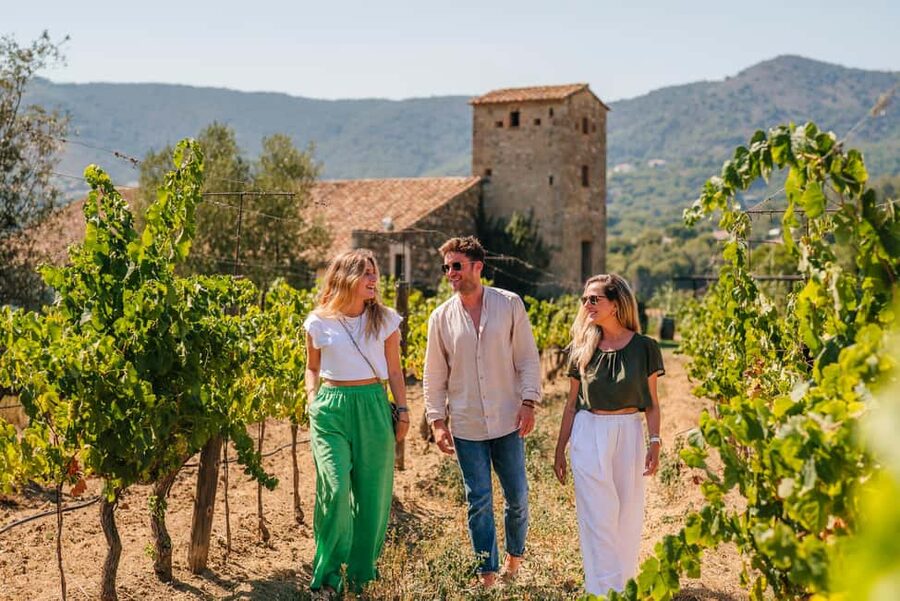 Barcelona: Sailing Cruise & Vineyard Tour with Wine Tasting - Four wines with a Catalan table