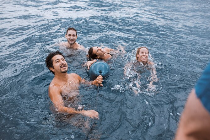 Barcelona Sunset Cruise with Open Bar of Cava and Snacks - Boat size, seating, and the social side