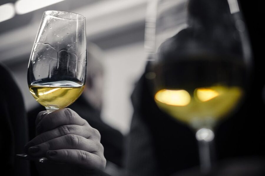 Barcelona Wine Tasting: Catalan and Spanish Wines - Five Spanish wines in 90 minutes