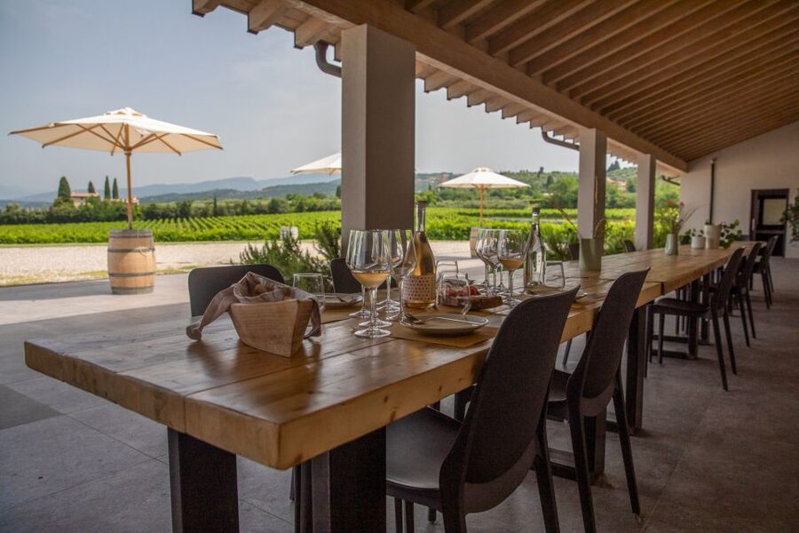 Bardolino: Vineyard Tour with Wine and Food Tasting - The guides make the difference