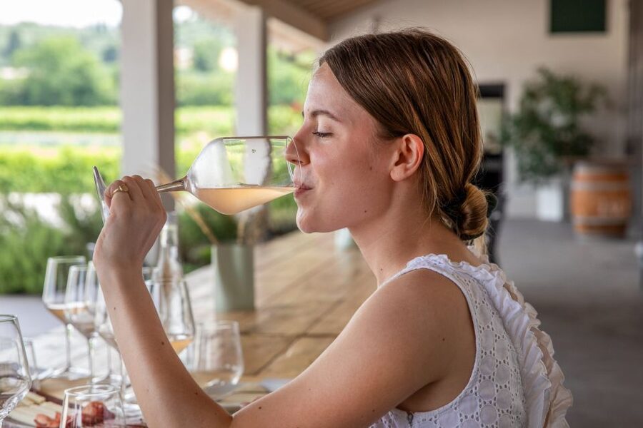 Bardolino: Vineyard Tour with Wine and Food Tasting - What the two-hour schedule feels like