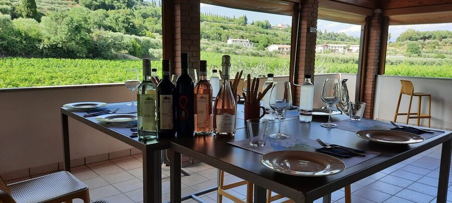 Bardolino: Vineyard Tour with Wine, Olive Oil & Food Tasting - The Vineyard Walk: Short, Useful, and Outdoors