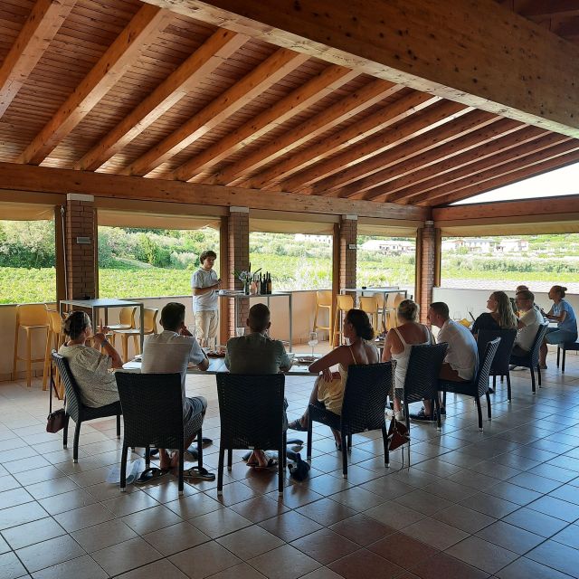 Bardolino: Vineyard Tour with Wine, Olive Oil & Food Tasting - Olive Oil, Cold Cuts, and Local Cheese