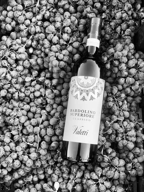 Bardolino: Wine tasting at Cantina Valetti - What the winery visit adds