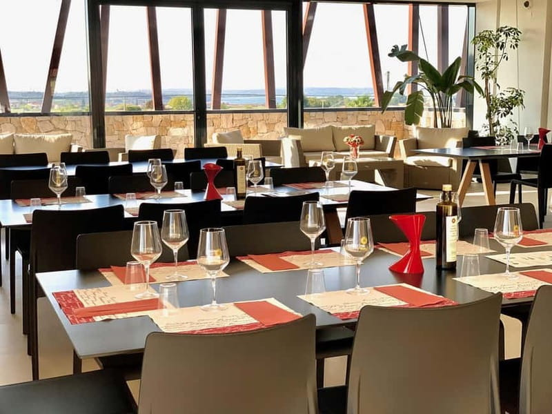 Bardolino: Wine tasting at Cantina Valetti - The terrace and the Lake Garda setting
