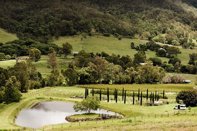 Barefoot Luxury Mount Tamborine Winery Tour from Brisbane - Why this Mount Tamborine day works from Brisbane