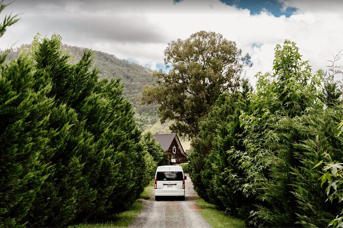 Barefoot Luxury Mount Tamborine Winery Tour from Brisbane - Witches Falls Winery and the first proper tasting