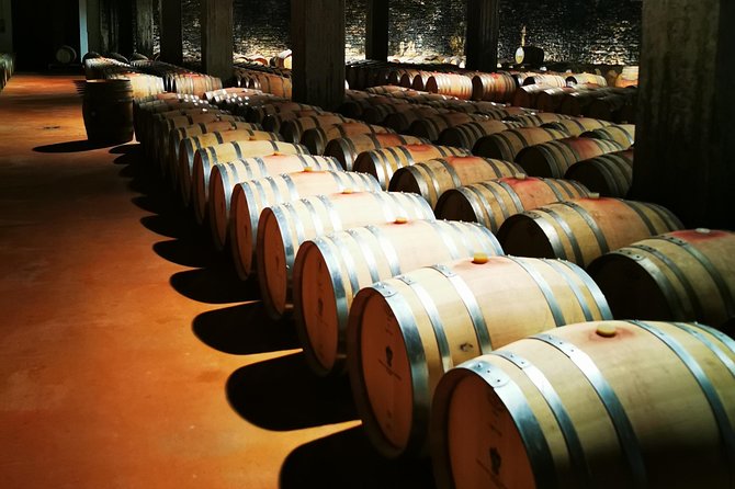Barolo&Barbaresco Wine Experience with a local winemaker - Barolo, Barbaresco, La Morra, and Castagnole Lanze