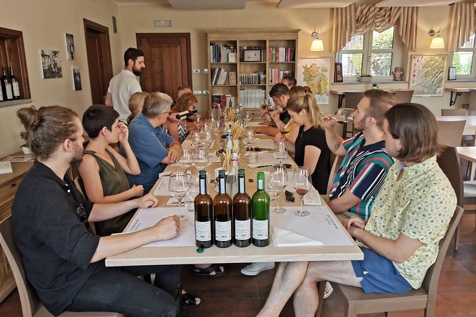 Barolo&Barbaresco Wine Experience with a local winemaker - Pickup, vehicle, and group size
