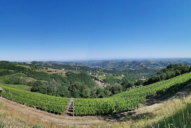 Barolo&Barbaresco Wine Experience with a local winemaker - Practical details that matter
