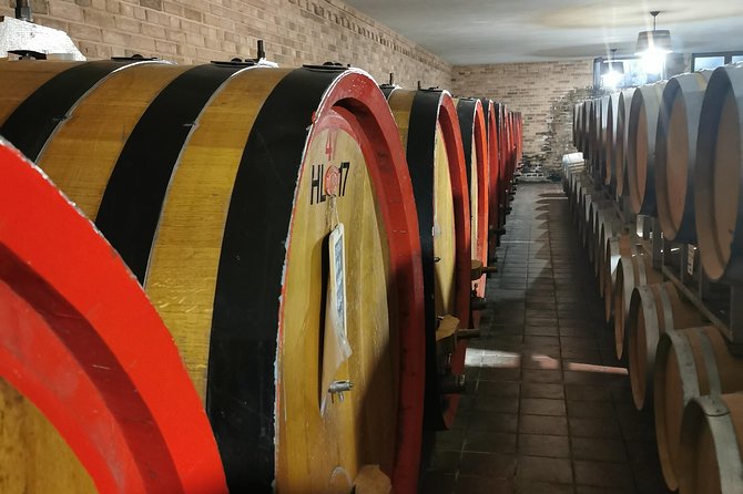 Barolo&Barbaresco Wine Experience with a local winemaker - What the winery visits are really like