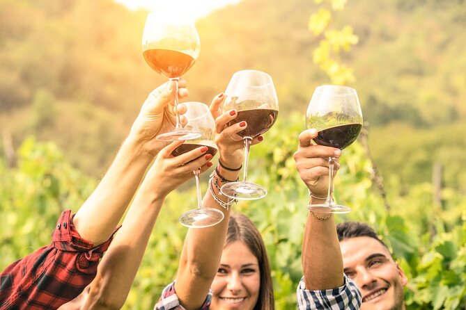 Barossa and Hahndorf Wine Tasting and Sightseeing Tour - Key points to know before booking