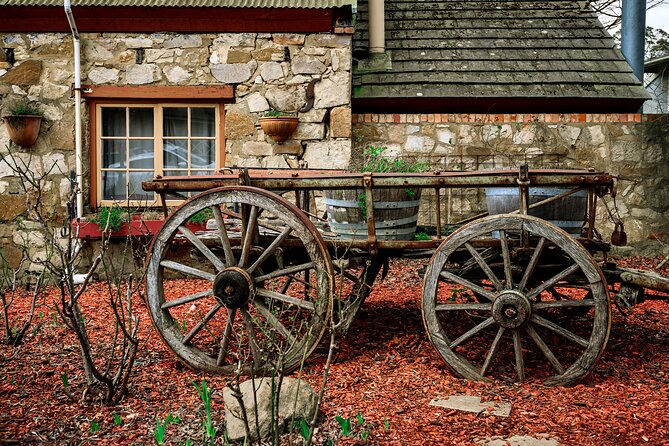 Barossa and Hahndorf Wine Tasting and Sightseeing Tour - Maggie Beer products and an early taste of the region