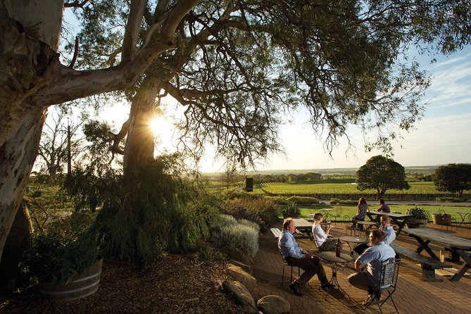 Barossa Valley Hop-On Hop-Off Wine Tour - What the guides add to the day
