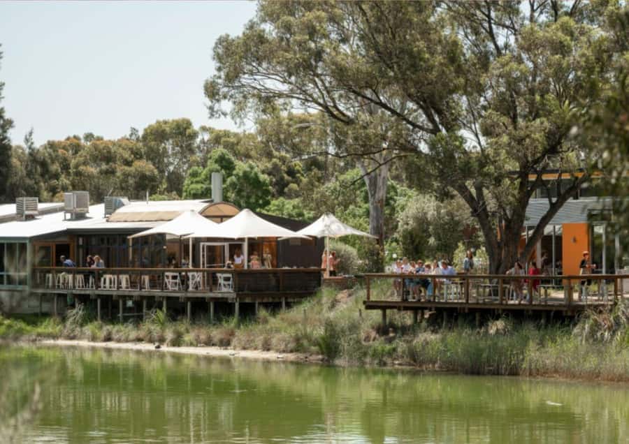 Barossa Valley: Maggie Beer's Wine Tasting & Cheese Platter - Starting at Maggie Beer’s Farmshop