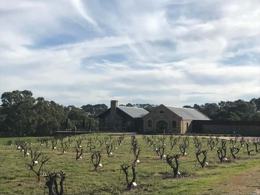 Barossa Valley: Small Group Wine Tour (Includes Lunch) - Key points at a glance