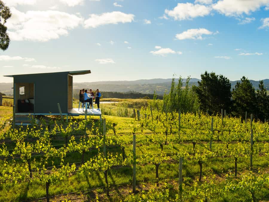 Barossa Wine Tour: Small Group 8 max, Rare, Unique, Premium - Pickup from your accommodation