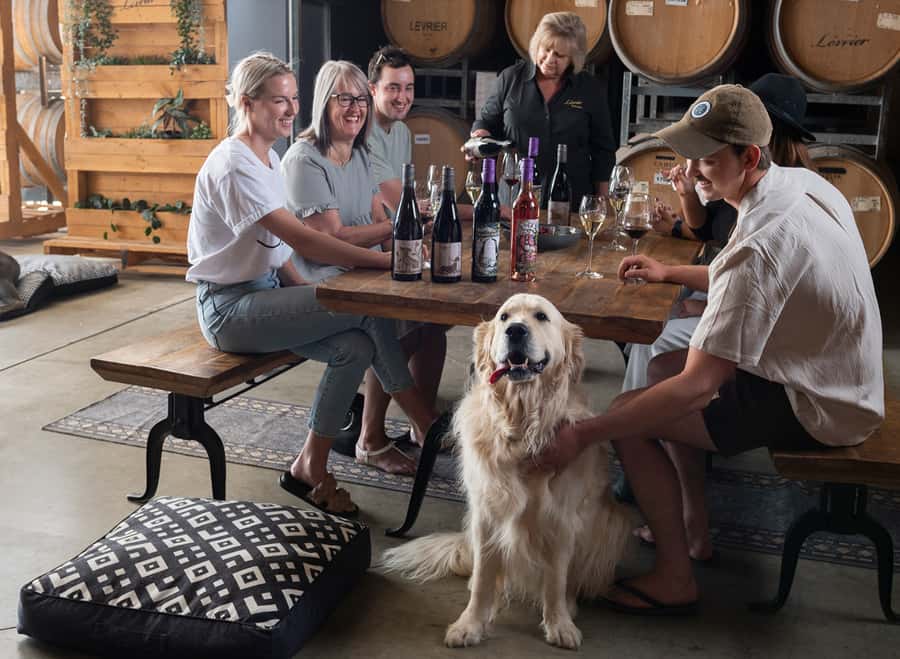 Barossa Wine Tour: Small Group 8 max, Rare, Unique, Premium - Lunch at The Greenock