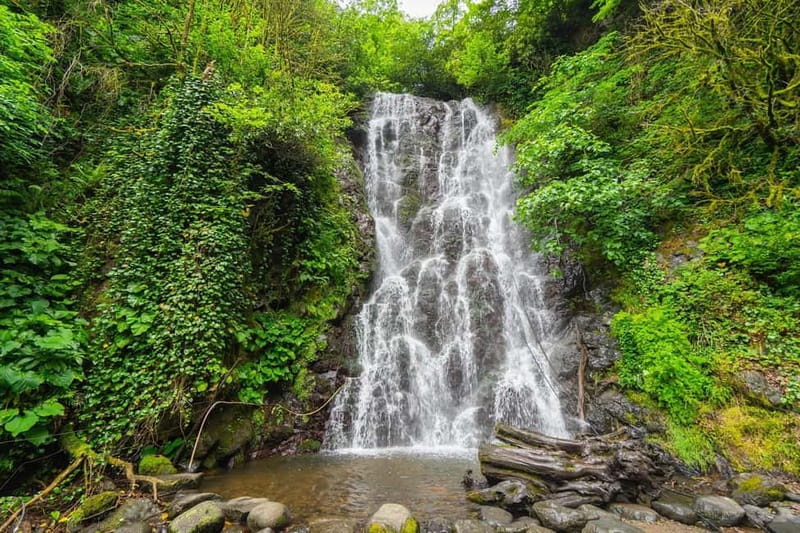 Batumi: Wine & Dine Tour To Waterfalls - Mountainous Adjara - Is $41 plus 40 Lari good value?