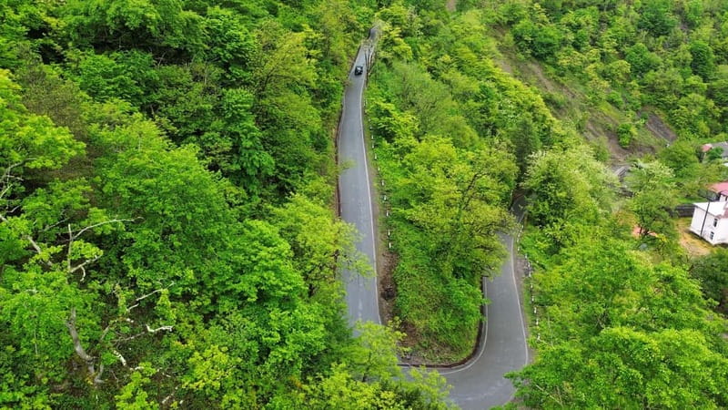 Batumi: Wine & Dine Tour To Waterfalls - Mountainous Adjara - Three hours at Shervashidze wine cellar