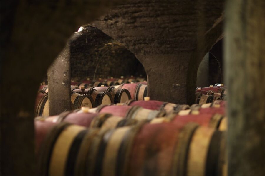 Beaune: Maison Champy Guided Cellar Tour with Wine Tasting - What the 90-minute schedule actually gives you