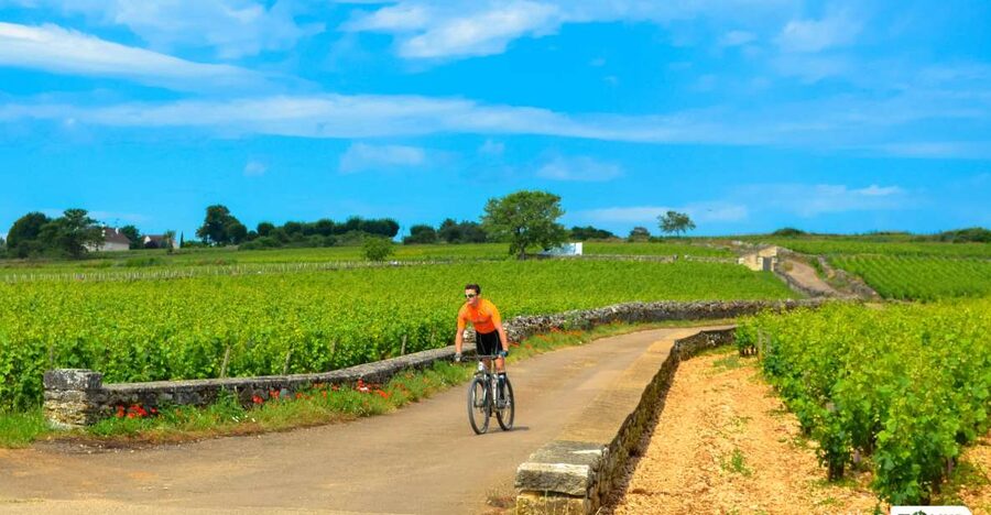 Beaune: Winery Tour by Bike with Wine Tasting - Why this ride works so well in Burgundy
