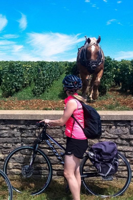 Beaune: Winery Tour by Bike with Wine Tasting - The guides are a major part of the value