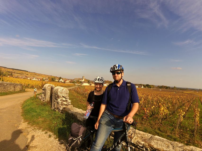 Beaune: Winery Tour by Bike with Wine Tasting - Starting beside Parc de la Bouzaize